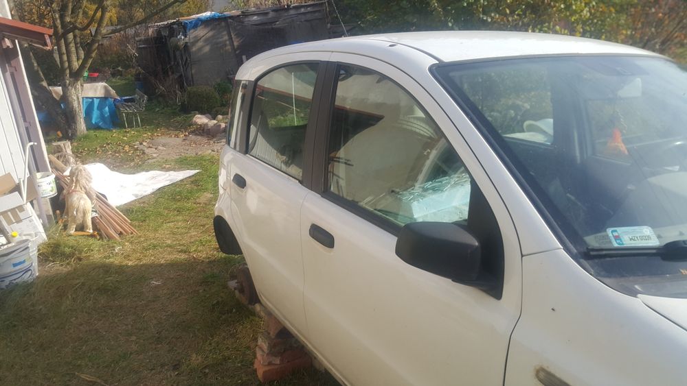Drzwi i klapa tylna fiat panda 2
