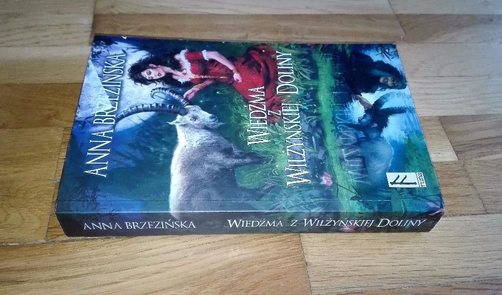 Wiedźma z Wilżyńskiej Doliny Anna Brzezińska
