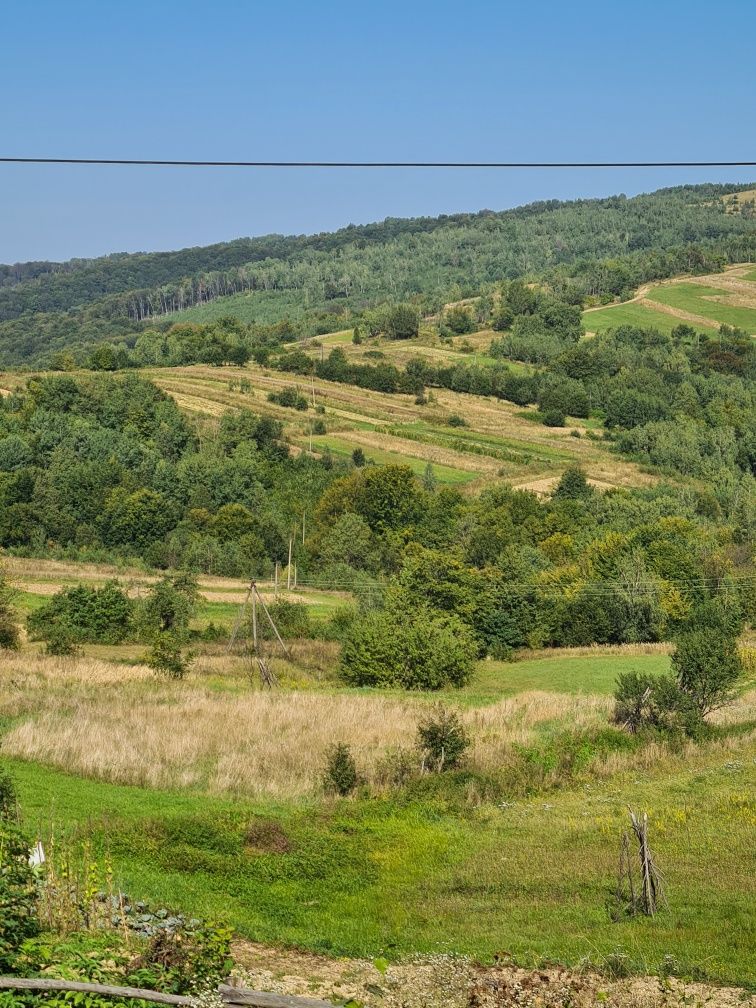 Відпочинок в Карпатах Садиба Смерекова хата. Оренда будинку.