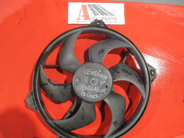 Radiador ventilador Peugeot 307 HDi