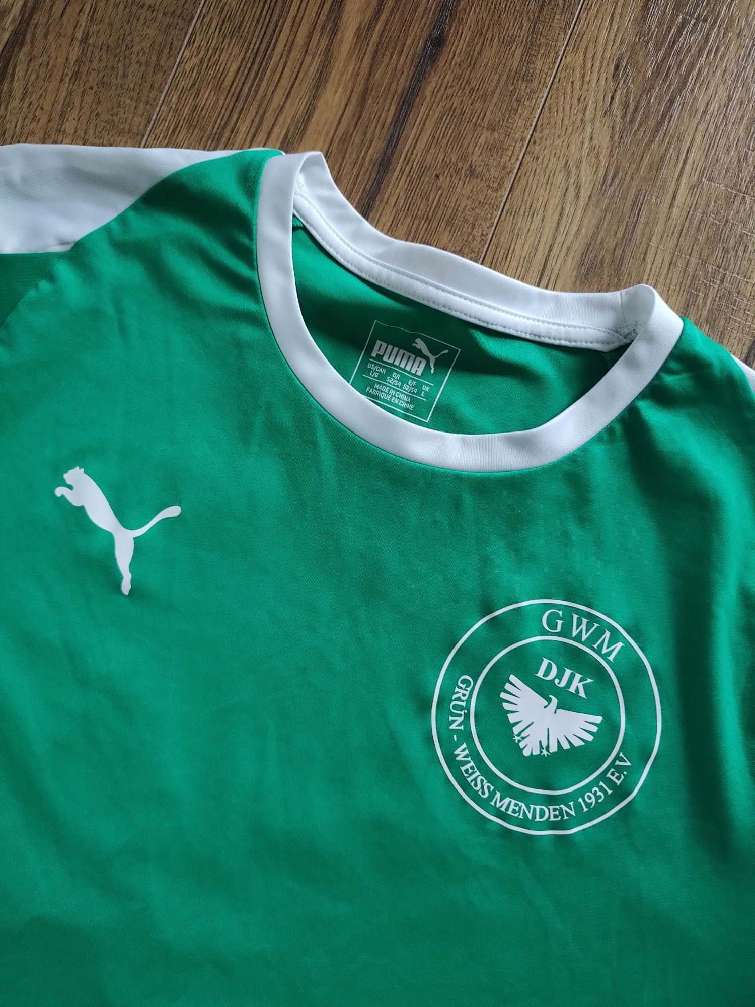 Koszulka t-shirt męski Puma Grün-Weiss Menden