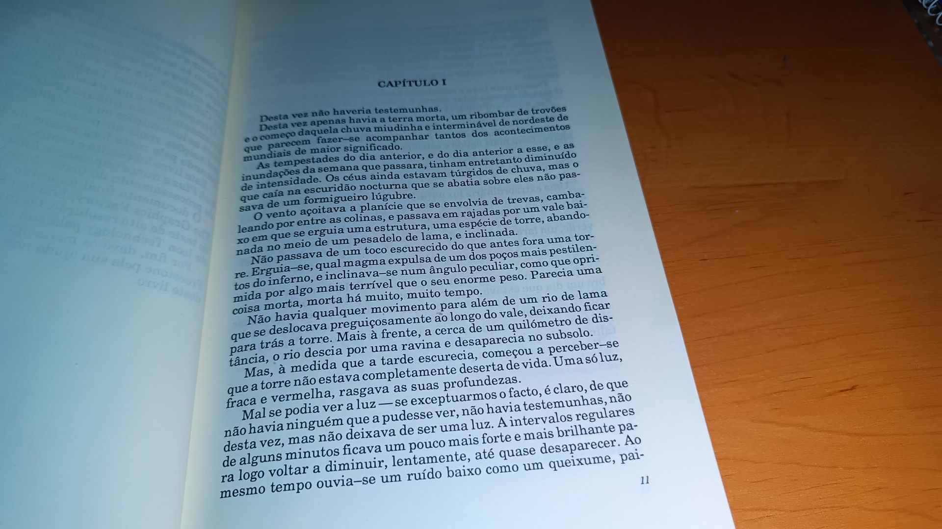 A agência de detectives holística