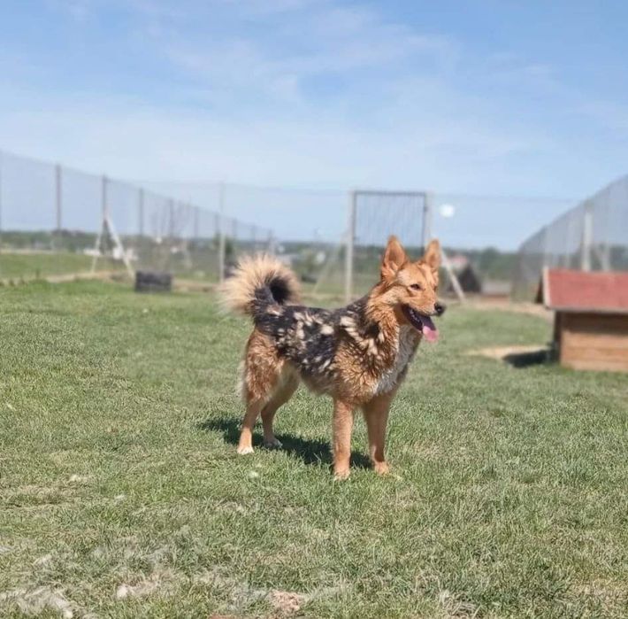 Smutno  tak obserwować świat zza krat , Ariel już długo czeka