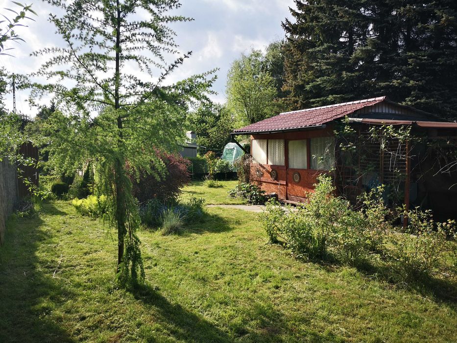 Działka ROD Zamoście / Zabierzów