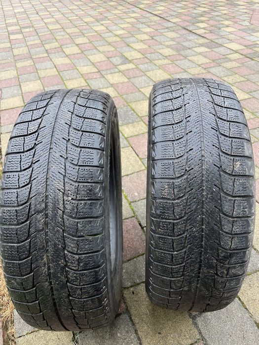 Зимові шини Michelin r15