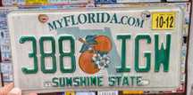 Tablica rejestracyjna USA Florida