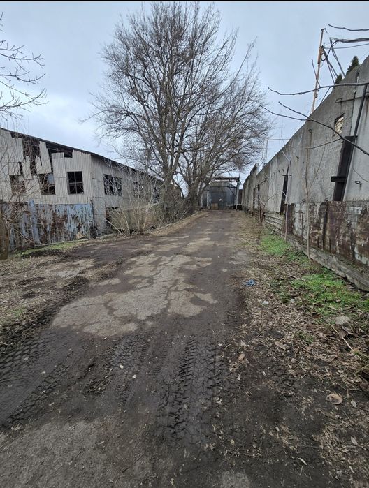 Сдам ангар на 402 заводе 330кв