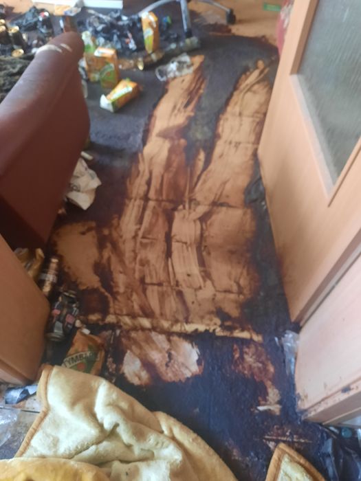 Sprzątanie po zgonach, odpluskwianie Opróżnianie mieszkań łódzkie!