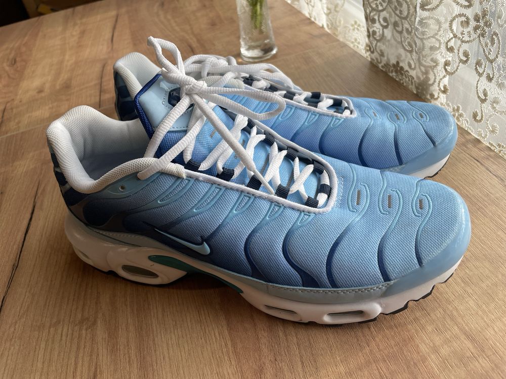 Кросівки Nike Air Max Plus (FJ4736-400) 46 розмір
