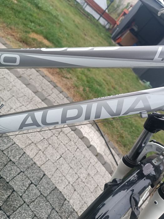 Rower Alpina eco