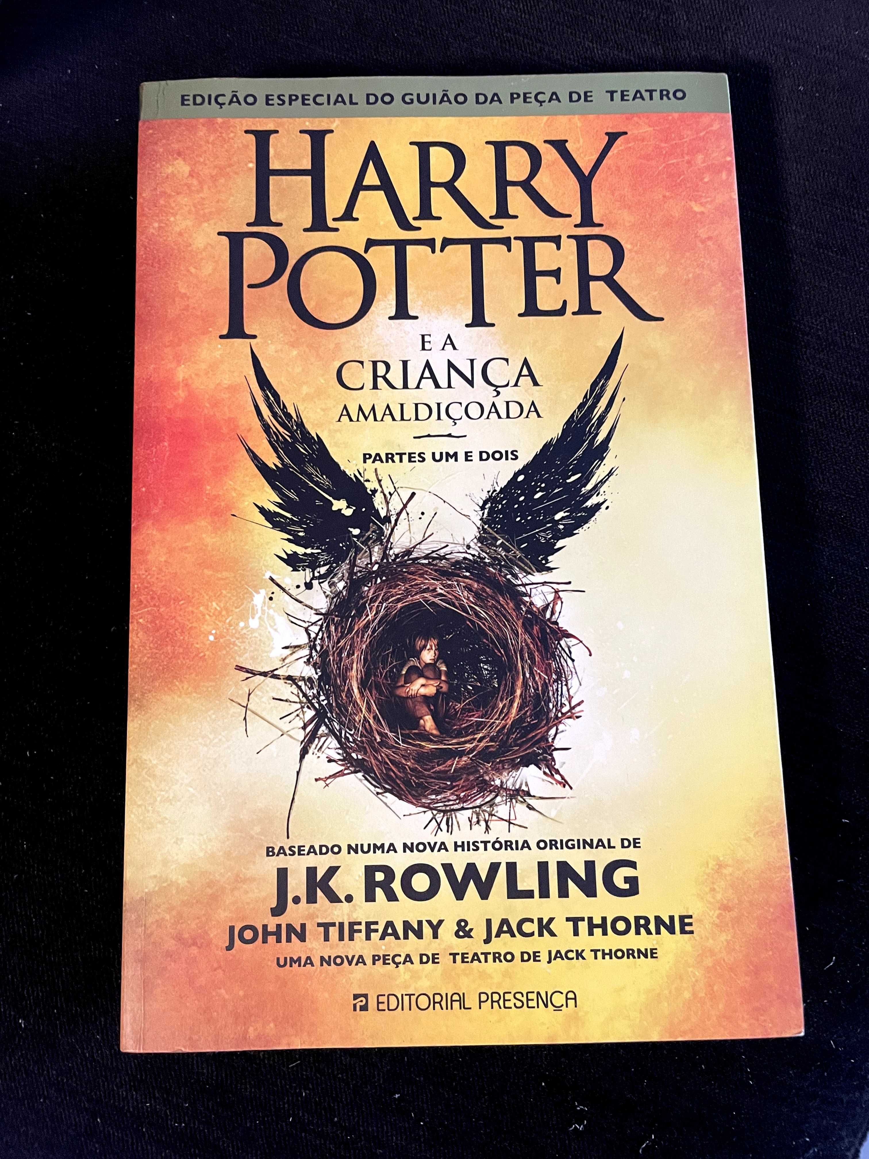 Livro Harry Potter e a Criança Amaldiçoada J.K. Rowling