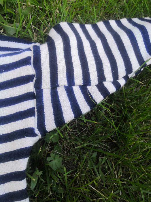 Тільник зимовий, флотський.