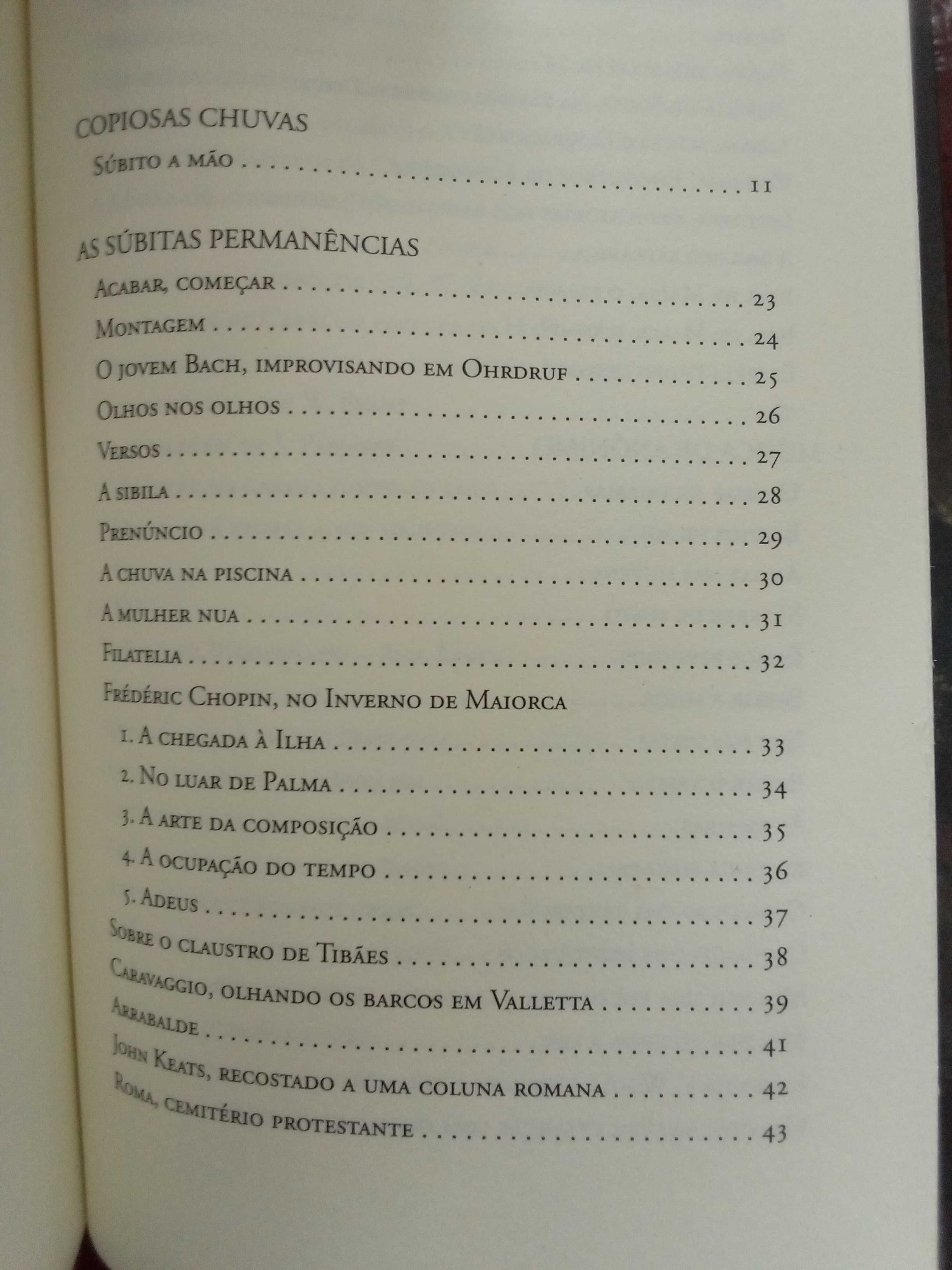 José Manuel Teixeira da Silva - Os pequenos nós da tempestade