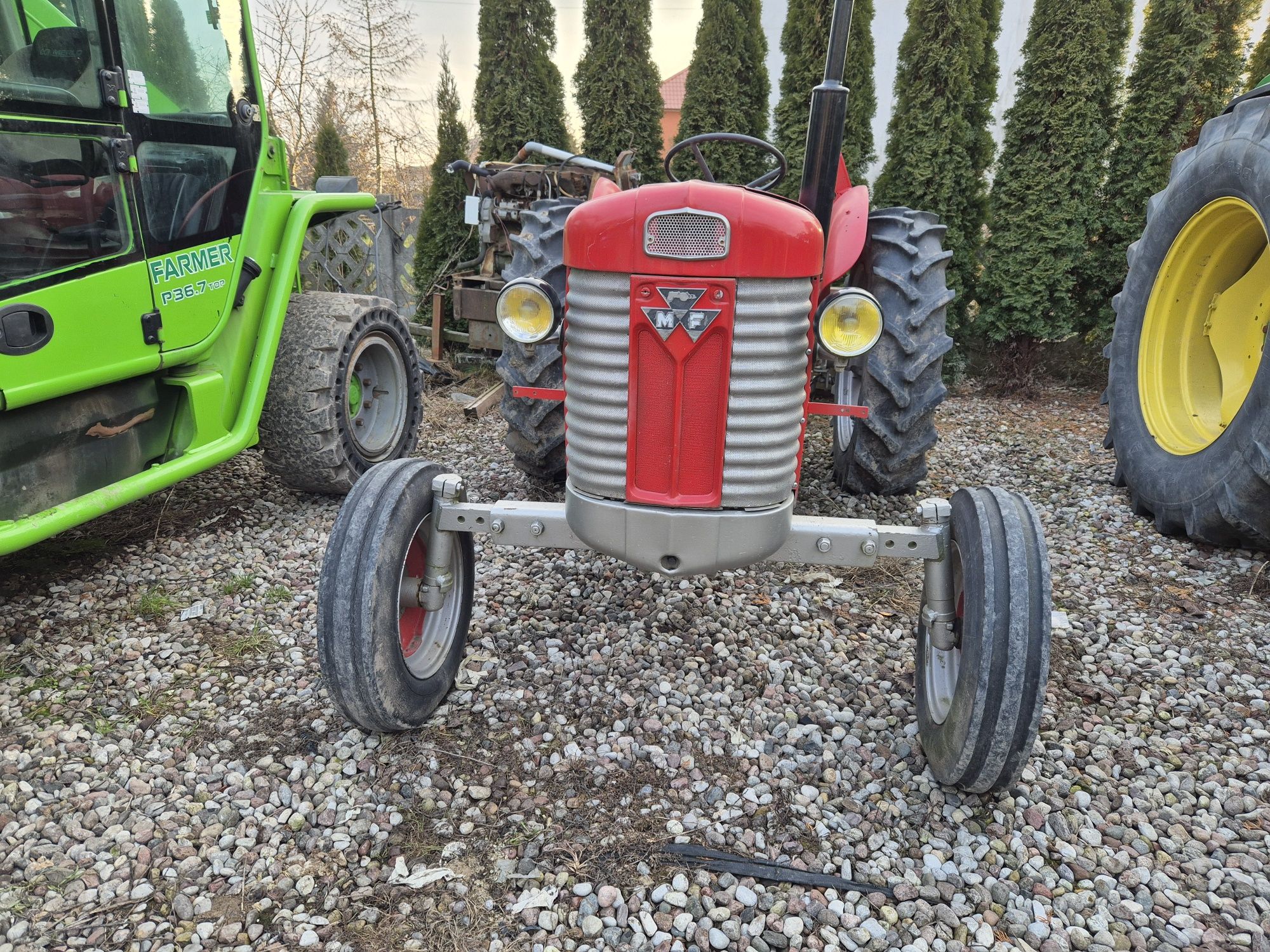 Massey ferguson 65. Zabytek.  Sprawny.