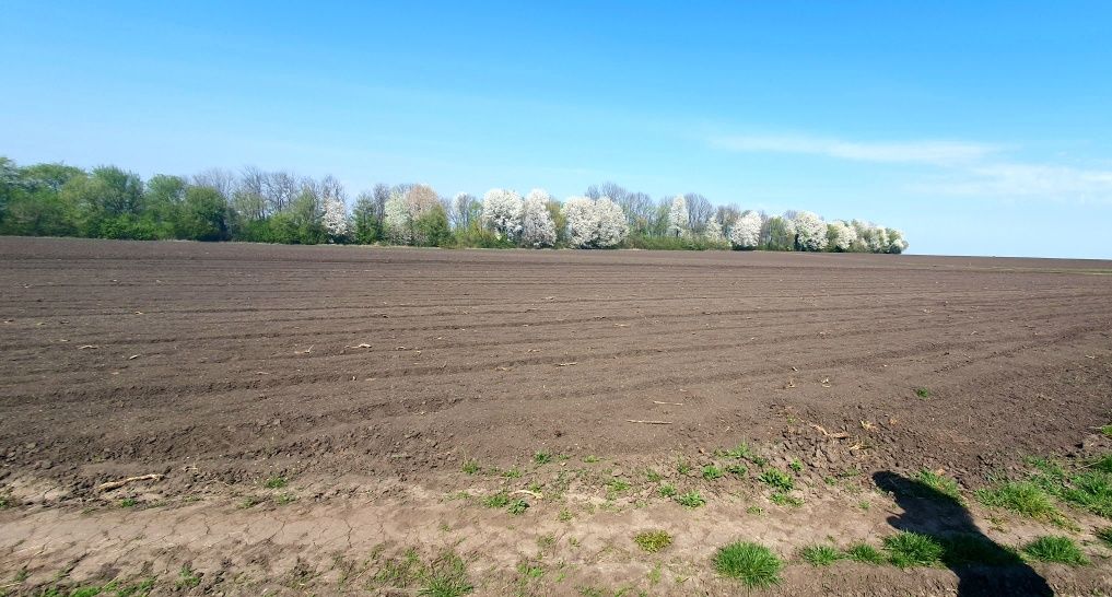 Земельна ділянка біля головної дороги