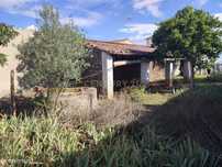 Terreno rústico , Monte Fidalgo, Vila Velha de Ródão