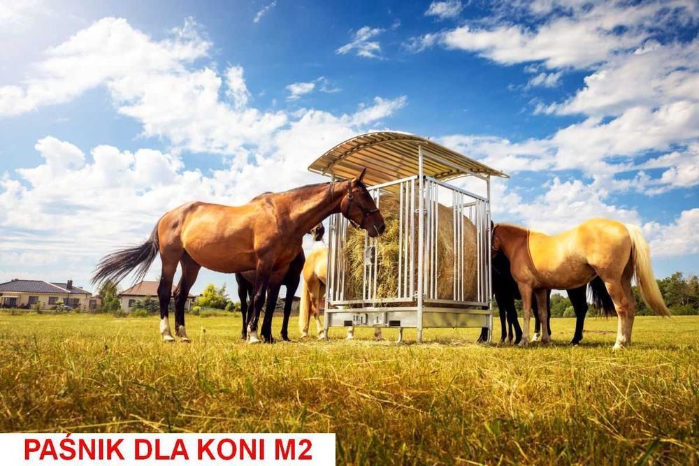 PAŚNIK OCYNKOWANY z daszkiem dla Bydła Koni Krów