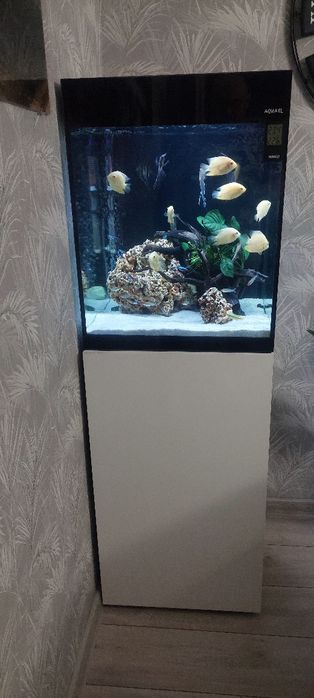 Akwarium Aquael glossy tube 150 L