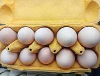 Witam mam na sprzedaż wiejskie jajka...