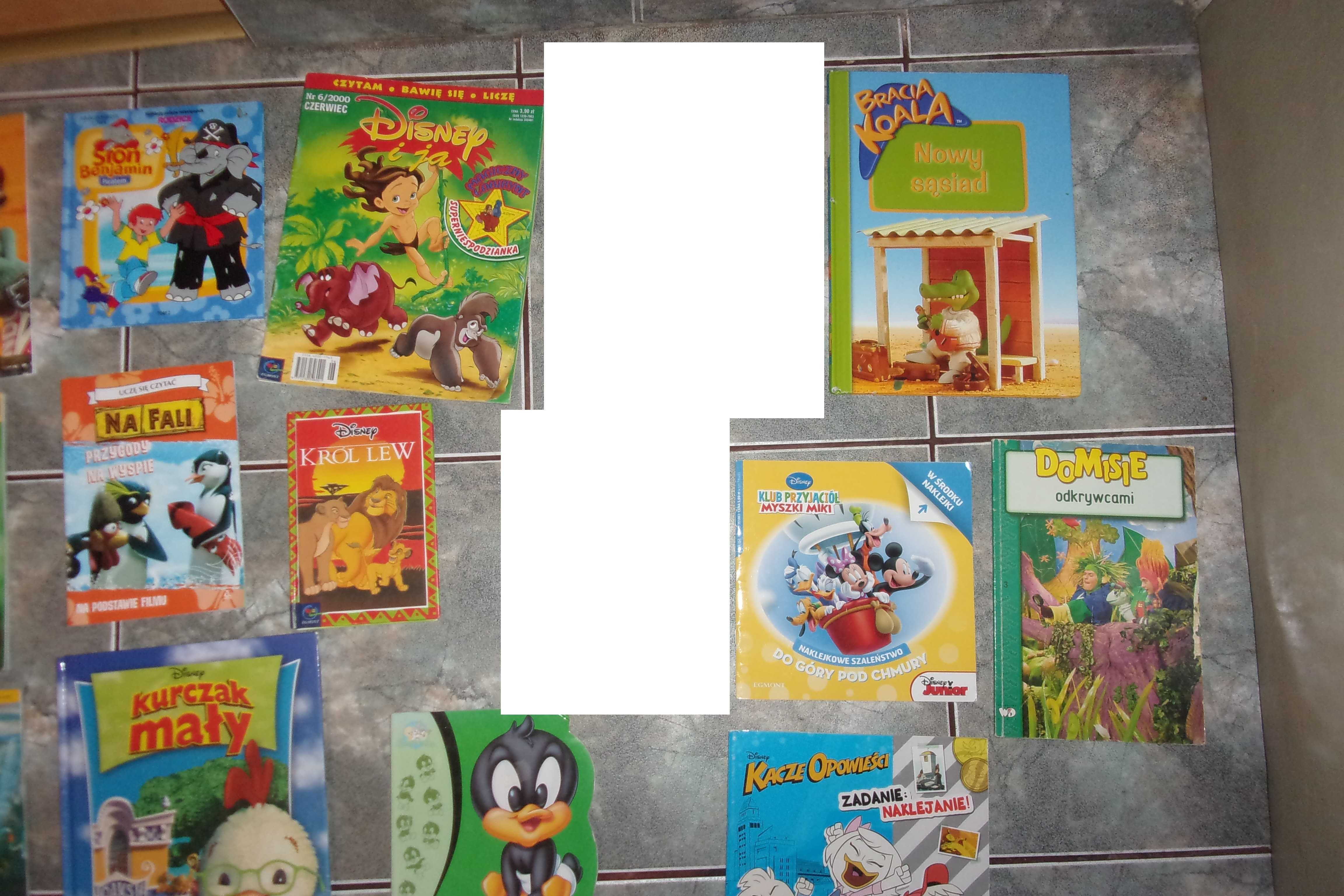 bracia koala nowy sąsiad disney Daffy kurczak mały domisie