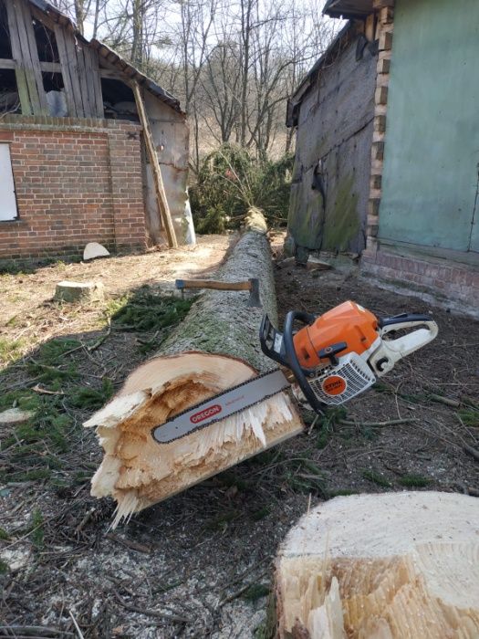 WYCINKA / Pielęgnacja Drzew TRUDNYCH metodą Alpinistyczną ( zwyżka )