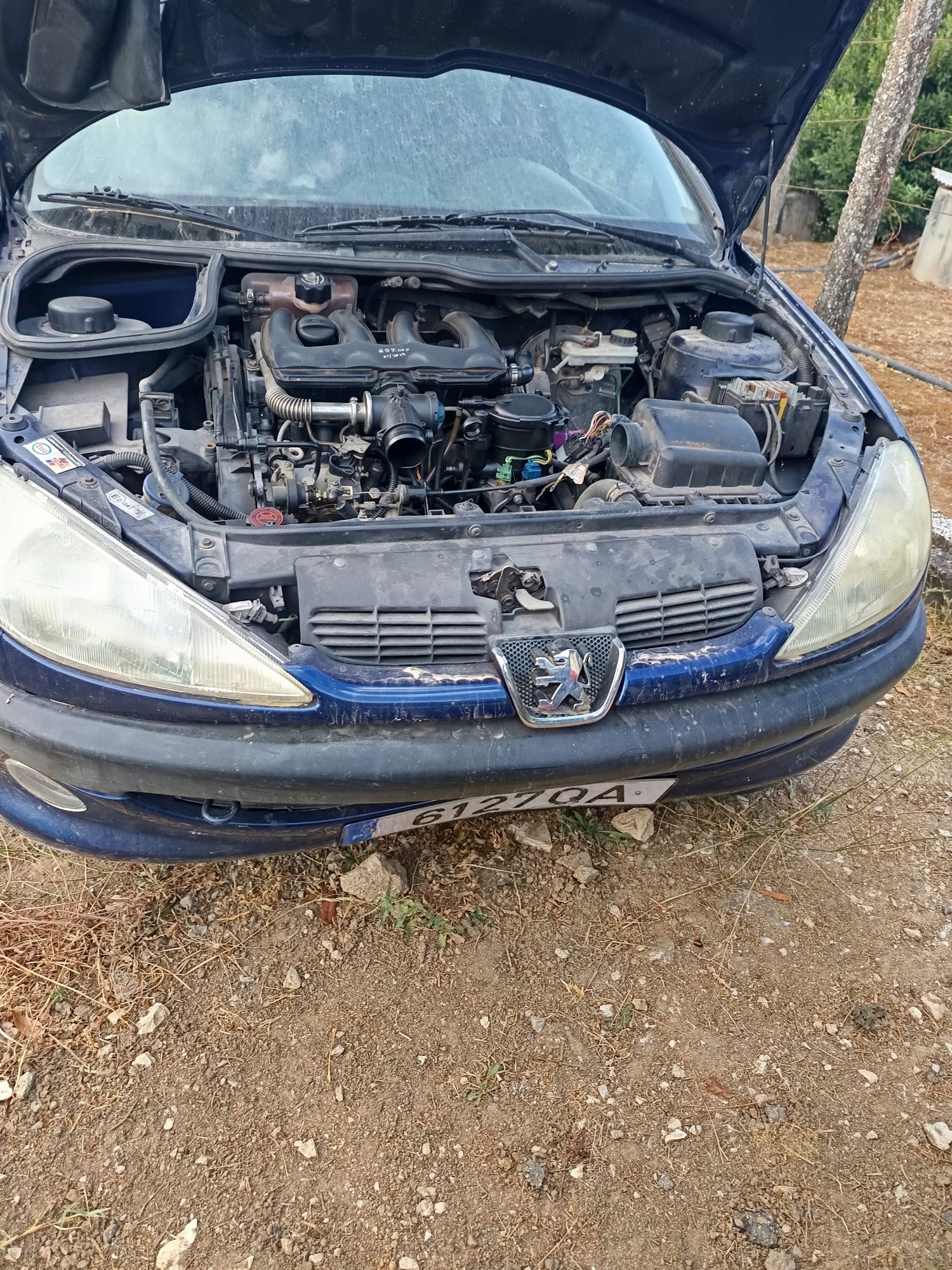 Peugeot 206 1.9 d