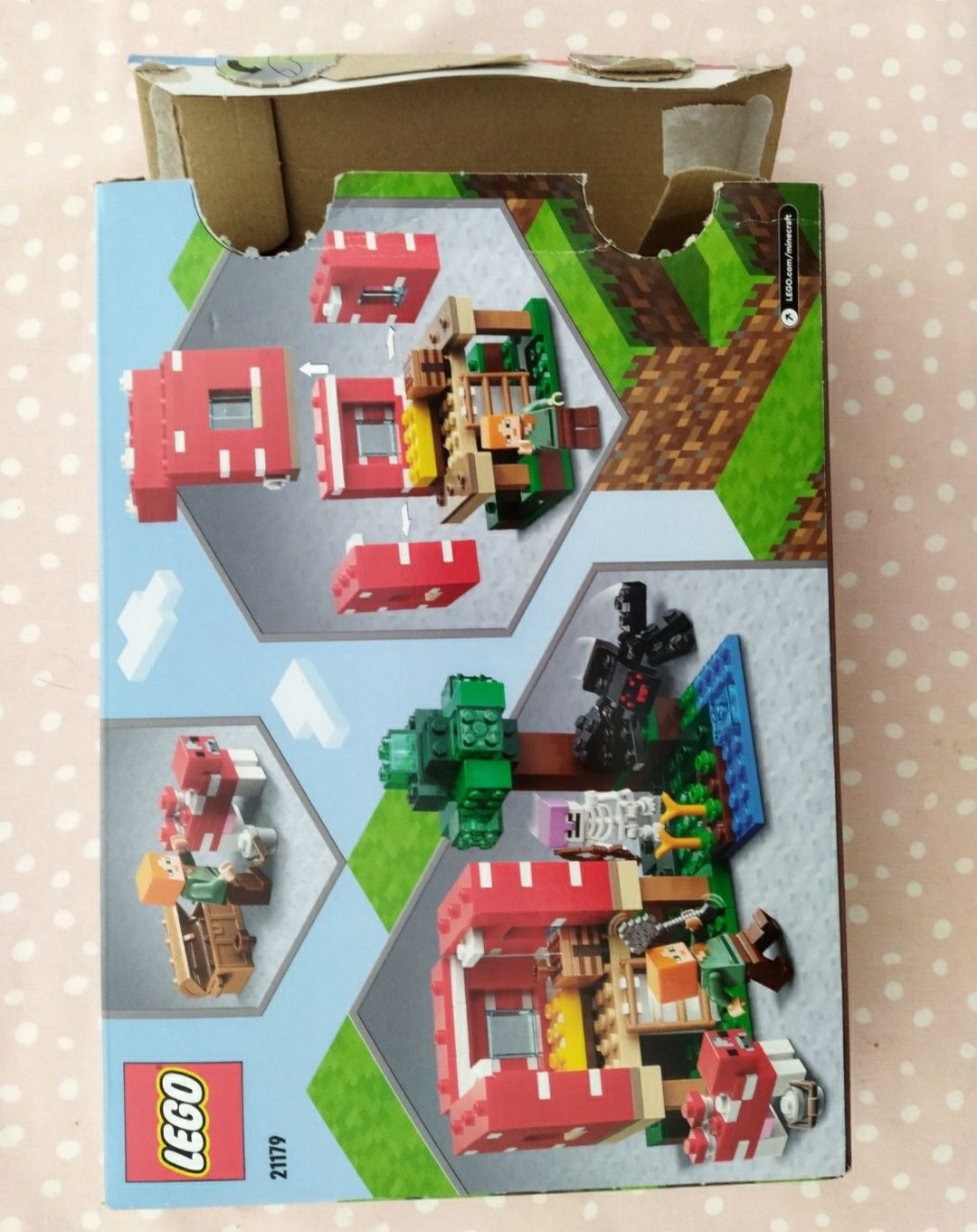LEGO 21179 pudełko