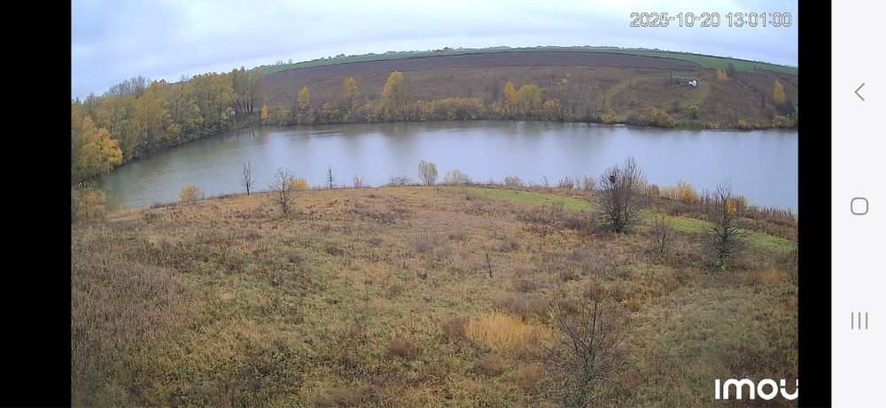 Здається ставок в оренду