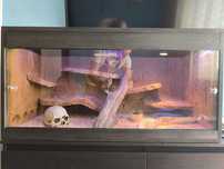Terrarium pustynne z wyposażeniem i oświetleniem - gratisy