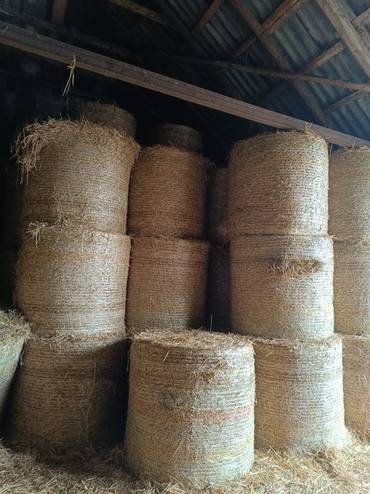 Słoma w belach z pod stodoły tego roczna .