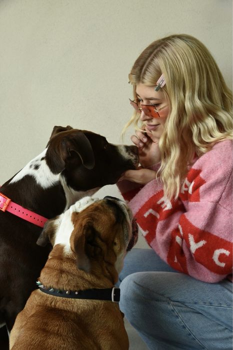 Behawiorysta / trener psów / szkolenie psów /HOTEL dla psów/ nosework