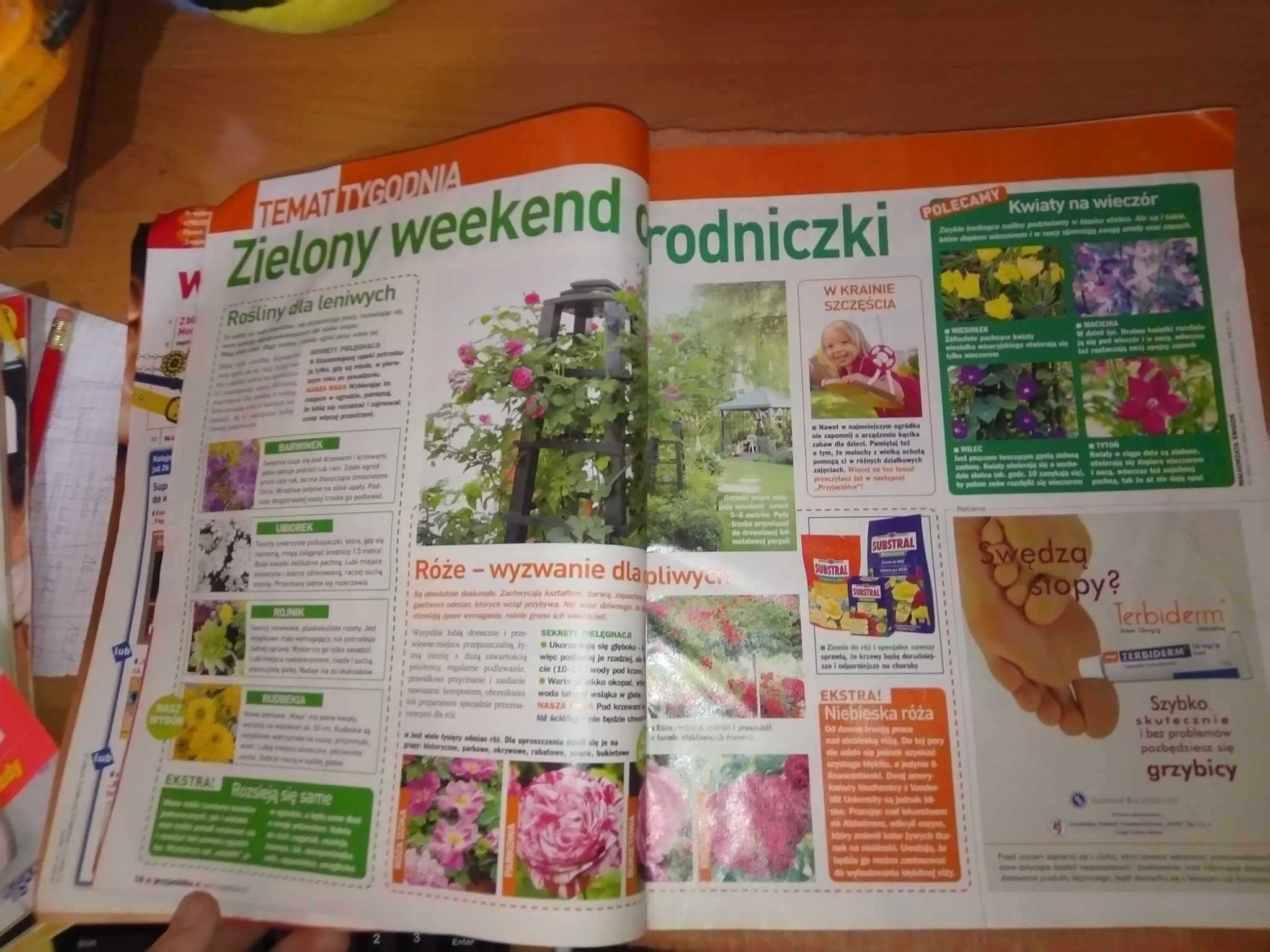 Tygodnik Gazeta Przyjaciółka nr 16 kwiecień 2006 dobry stan (3013)