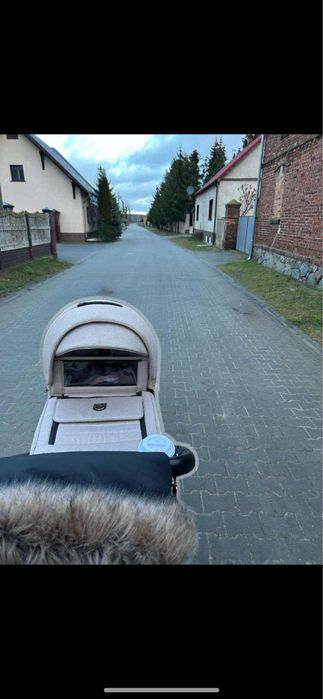 Wózek Adamex Belissa Special Edition