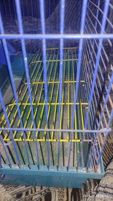 Клетка для грызуна хомяка свинки морской кролика