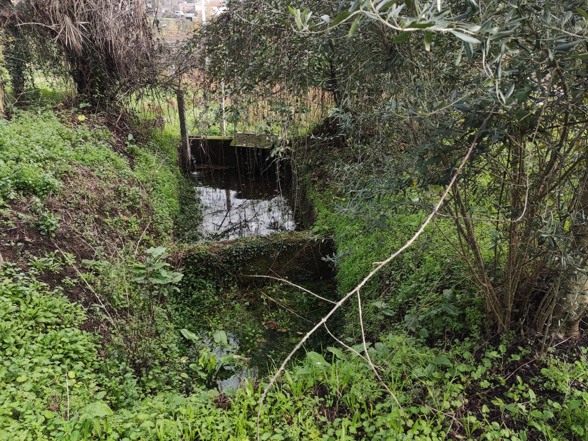 Terreno/quinta com 6000 metros quadrados de área