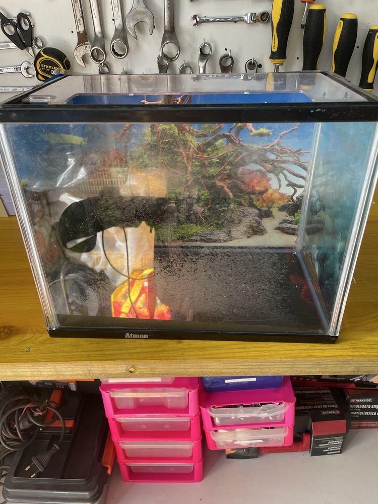 Vendo aquario usado