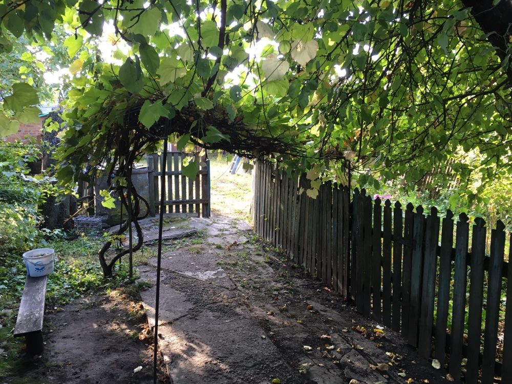 Продам будинок село Алтинівка.