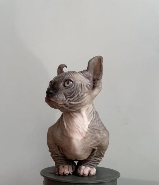 Двэльф   мальчик