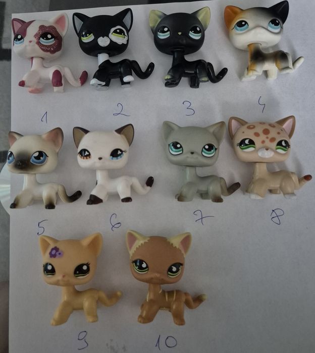 Lps pet shop shorthair