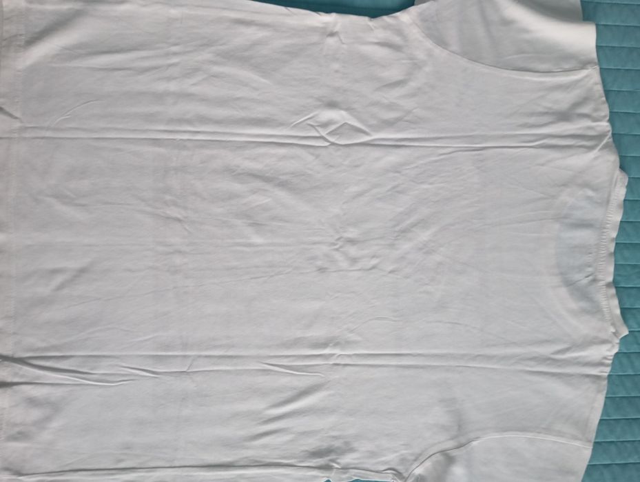 T-shirt Cedar Wood State