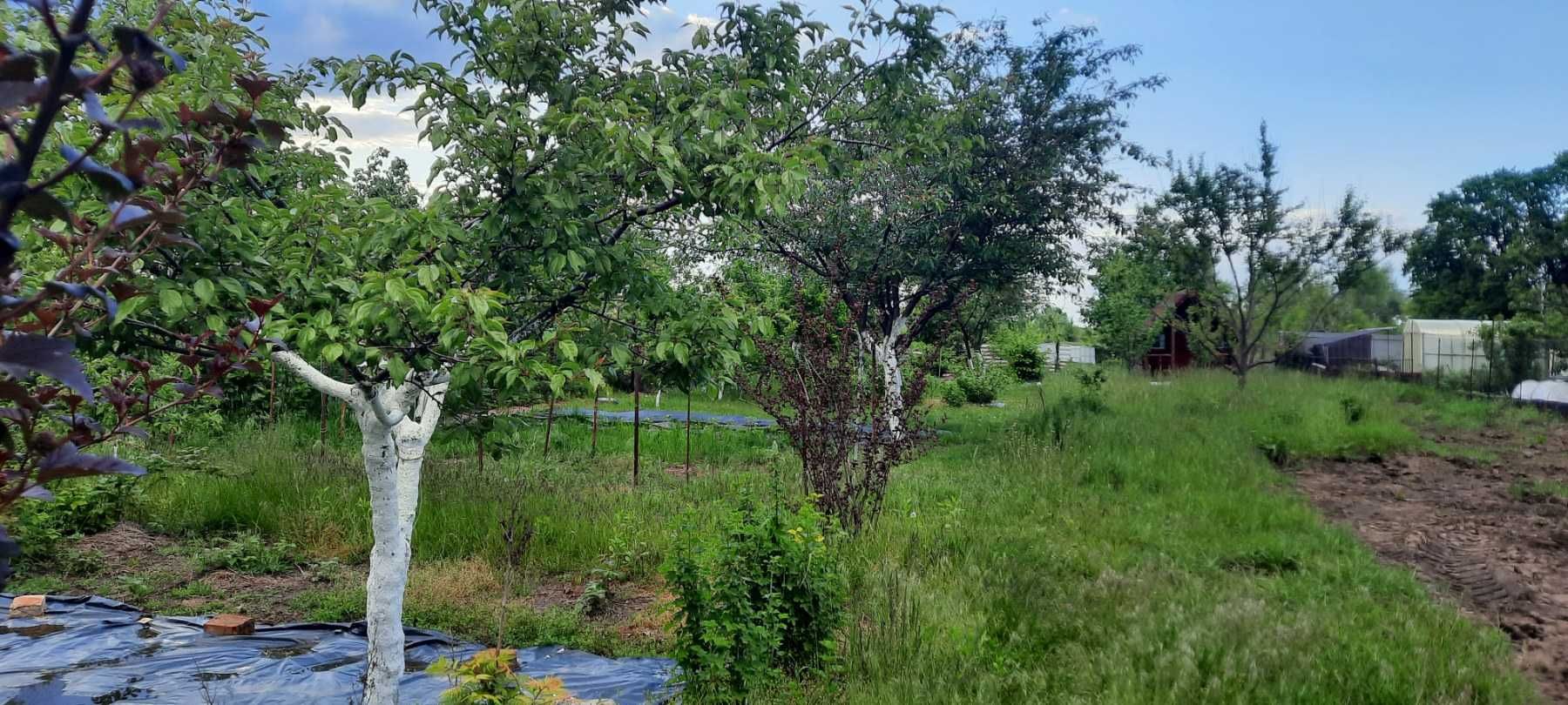 Продам землю Бурилово Новосілки Вишгородський раайон