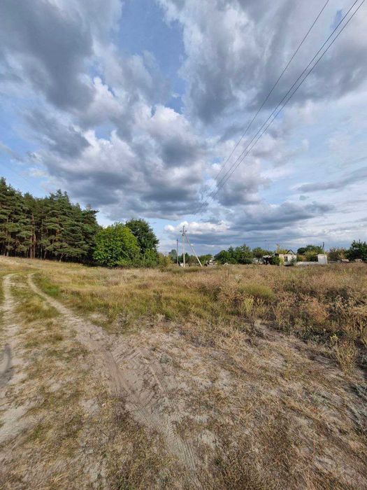 Продаж ділянки біля Кременчука, траса + сосновий ліс