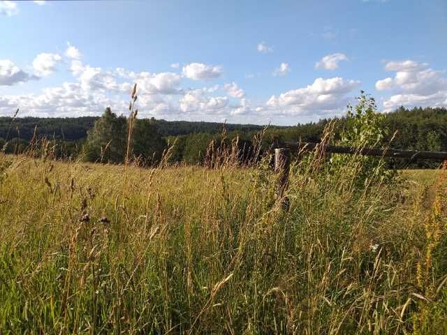 Domek na Kaszubach wolne od 04maja