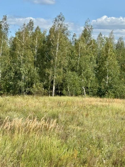 Продам земельну ділянку с. Калинівка 6,9 га