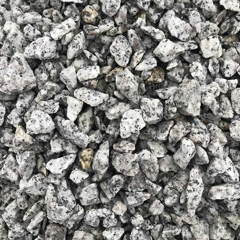 Grys Dalmatyńczyk PREMIUM