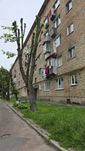 Однокімнатна квартира в Броварах