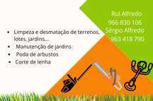 Jardinagem e limpeza terrenos