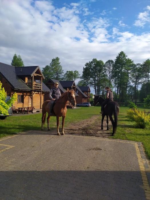 Domy całoroczne nad jeziorem z jacuzzi , sauna , wędkarstwo, mini zoo