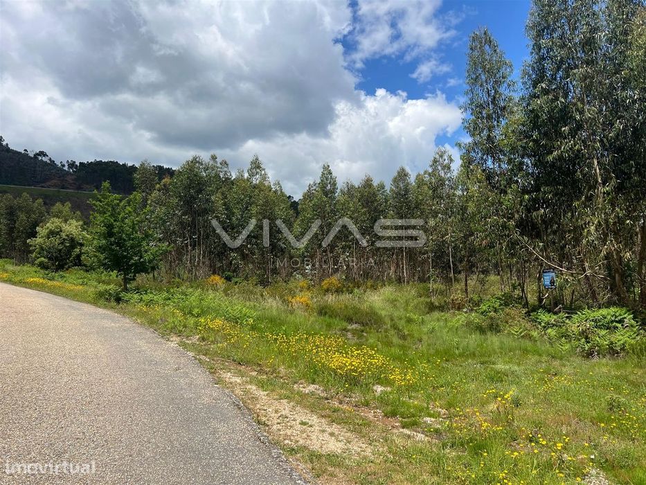 Terreno Para Construção  Venda em Arnóia,Celorico de Basto