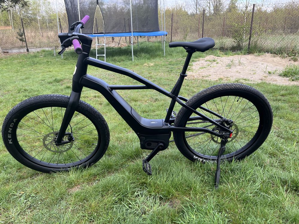 Rower Serial 1 by Harley Davidson Ebike XL